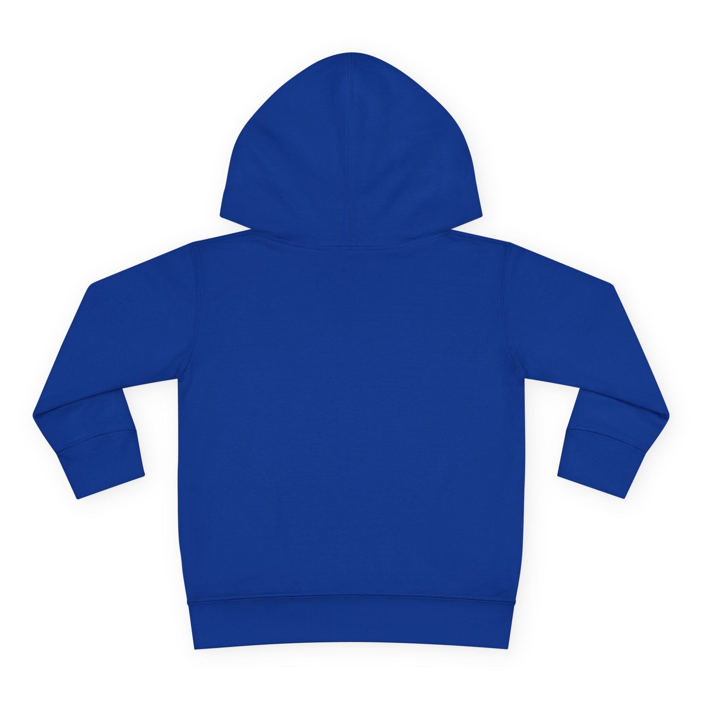 Embassy Church International Toddler Pullover Fleece Hoodie