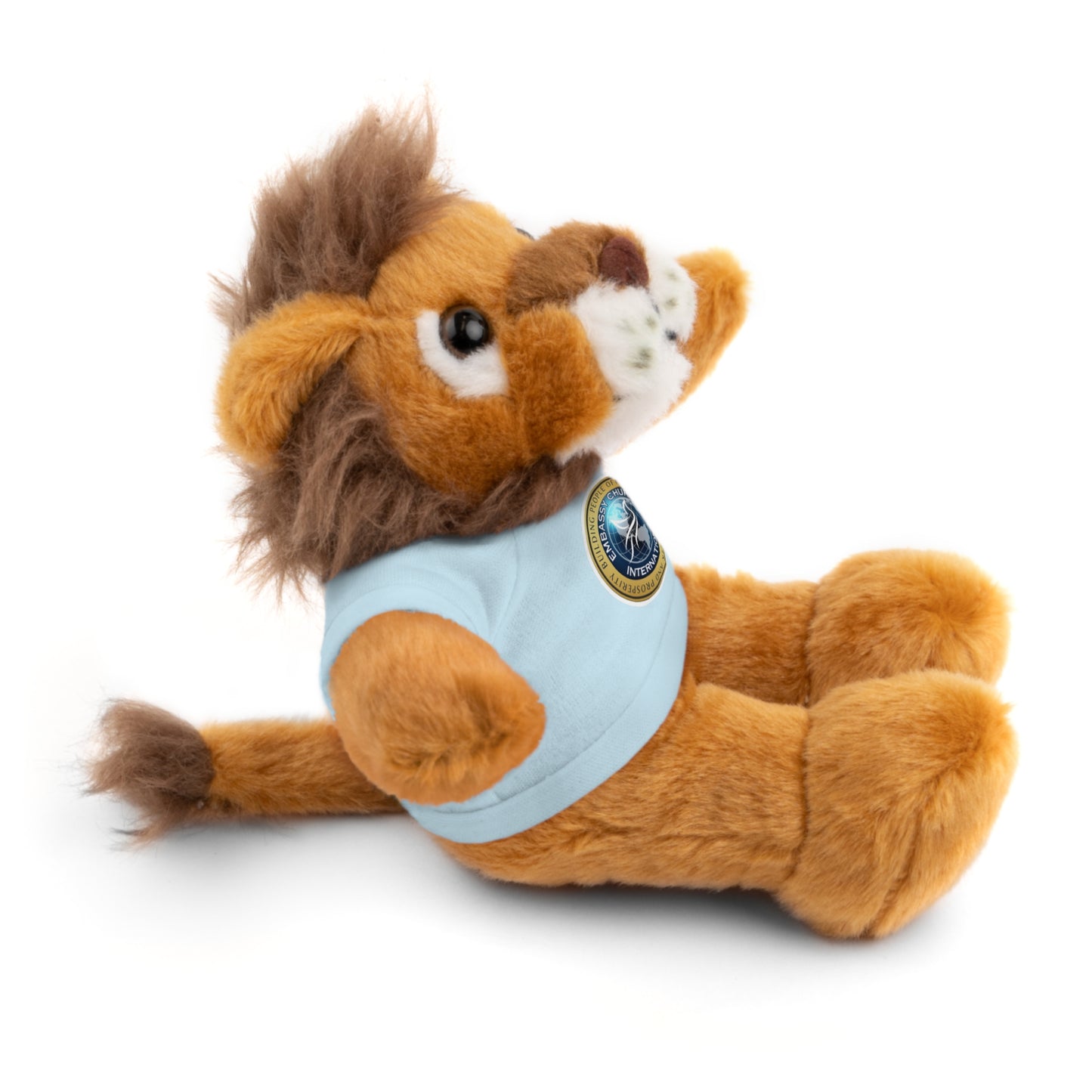 Embassy Church International Stuffed Animals with Tee